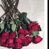 user7217881922