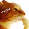 v3llcash