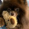 thomas_07963