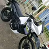 elgatocj2005