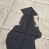 ai_56.0