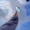 engyy_mohamedd12