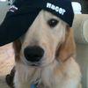 hi_1go