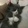 muvvvyqq