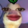miekatsiuuu