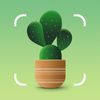 Plantum app