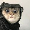 ina_omar_macow