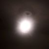 luca_tropico1