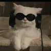 dy1z5dyih89o