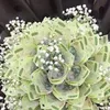 hong_tien_123