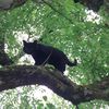 ilovefood_and_animals