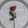 farheen8739
