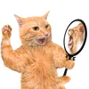 owo_banngu