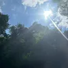 adpmjugokc