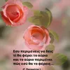 dimidimitra755