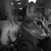 eman_3395