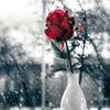 sweet_heart_82