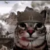 catze_