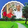 lieunguyenvh