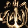 mahichaudhary501