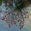salma_mohamed123455