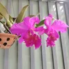 thuan73_