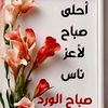 user8915295594263