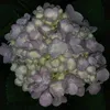 ducthangg_08