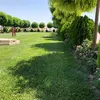 zana_kamal38