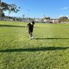yourboyqique
