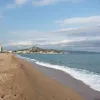 francoiseleon295