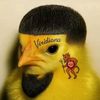 saaalvadore