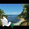 abdoulbah2259
