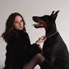 тгк: doberblogger