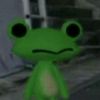 camthefrog1