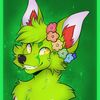 kopa_fox