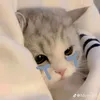 tngocm45