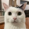 puffwii
