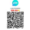 pizarromluis