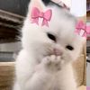 kimheejin245