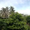 ngha.nguyn.thnh471