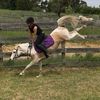 Jess | Horse trainer