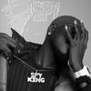 spyking_gram