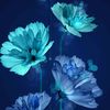 rania_ab123