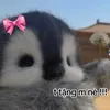 ellbi83