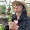 thuyngaa72