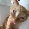 tuilaaiaibtlaai