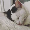 floflo_lou4