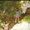 isla.b88