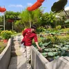 chiminhhoang2